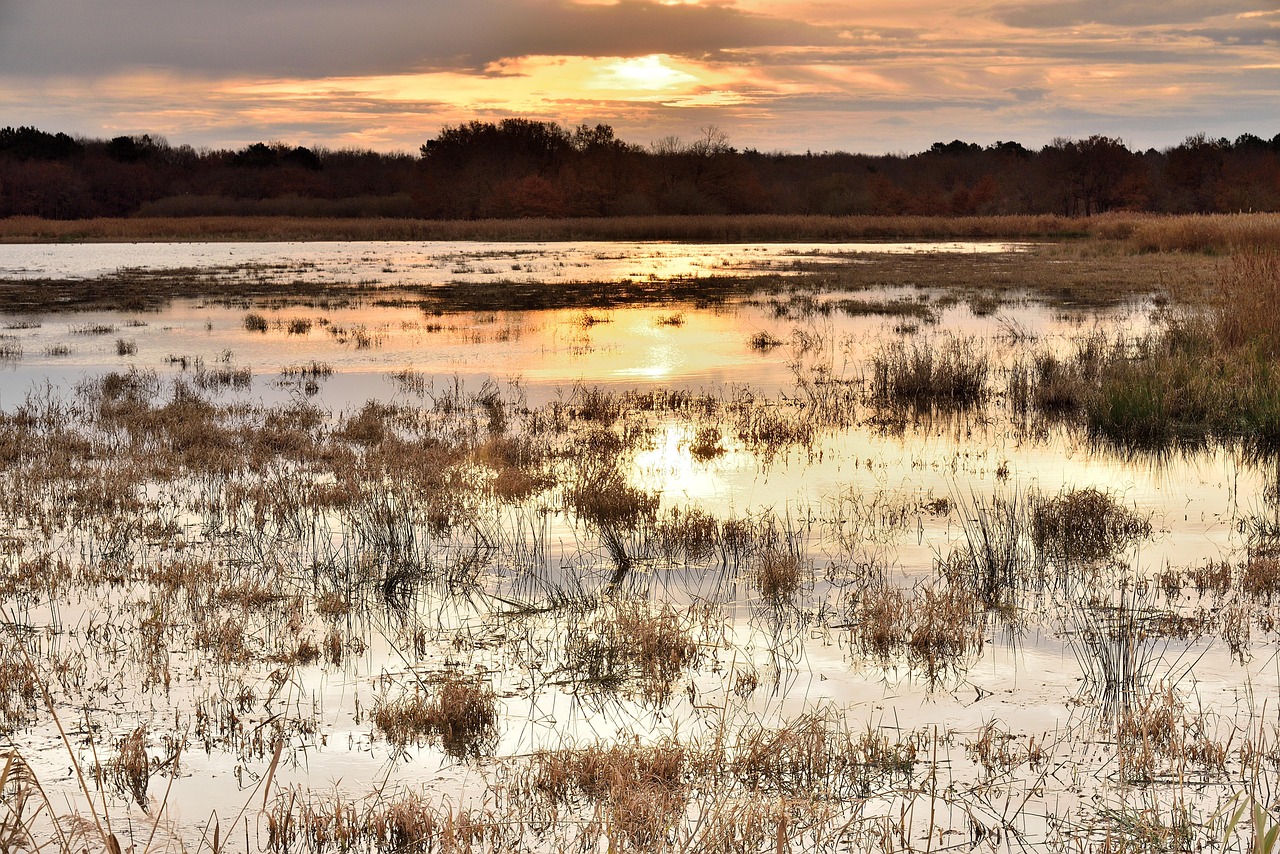 Schilfbewachsene Lagune bei Sonnenuntergang